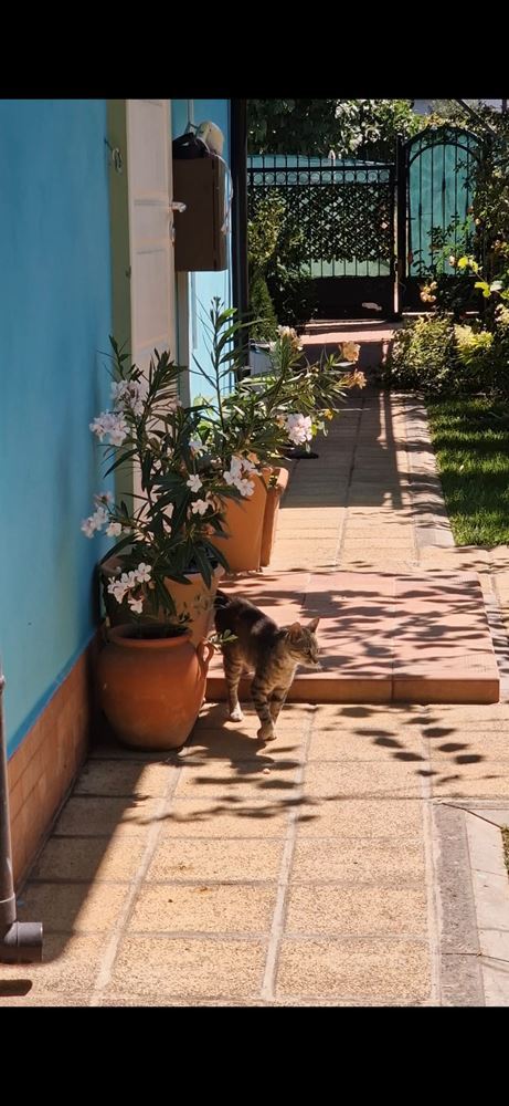 Nowoczesny dom wolnostojący z panoramą morza i podgrzewanym basenem w Chervenka, Chernomorets