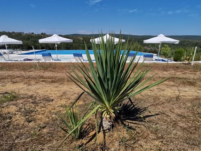 Przestronny dom parterowy z panoramicznym widokiem w eko-kompleksie w Górach Bałkańskich